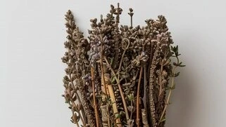 Botol ekstrak blueberry, salah satu antioksidan kuat yang ada dalam formula Prostanore untuk kesehatan prostat.